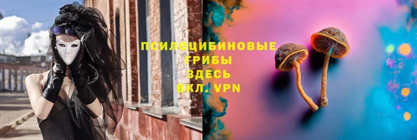 стафф Абинск