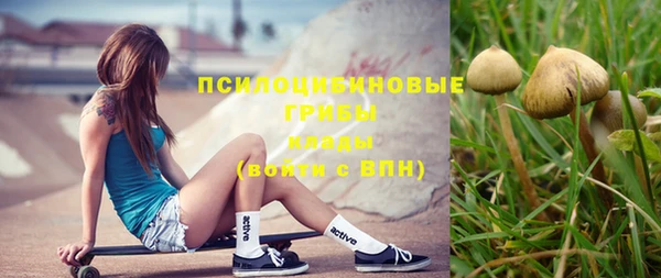 стафф Абинск