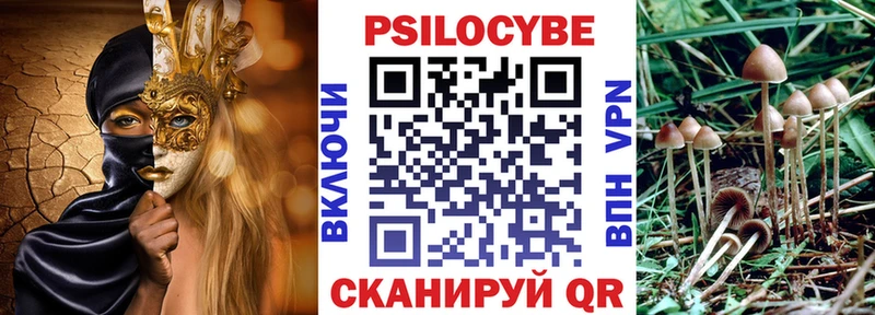 закладки блэк спрут как войти Псилоцибиновые грибы мицелий Краснокамск